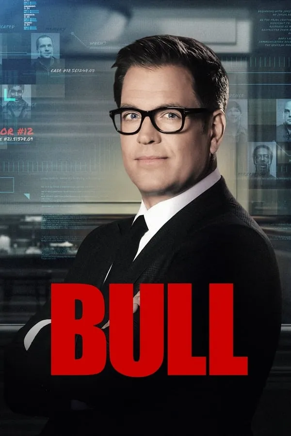 Bull 1